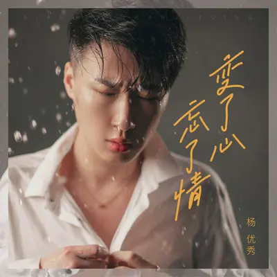 变了心忘了情(DJ小鑫版)封面