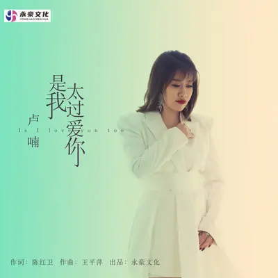 是我太过爱你（伴奏） - 卢喃封面