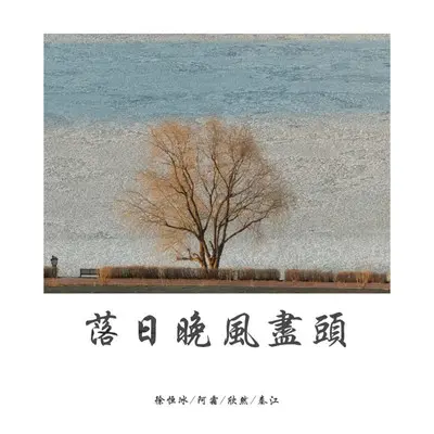 城南的花封面