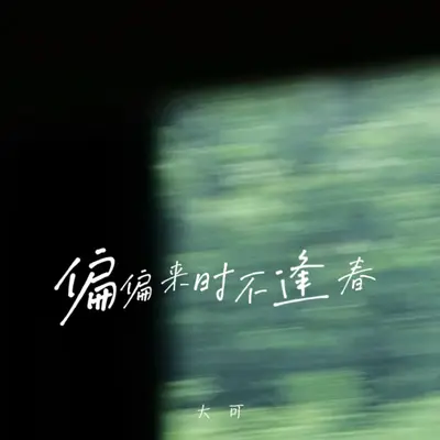 偏偏来时不逢春封面