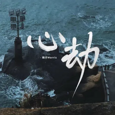心劫封面