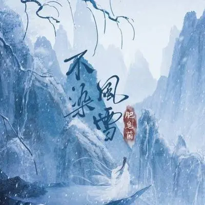 不染风雪封面
