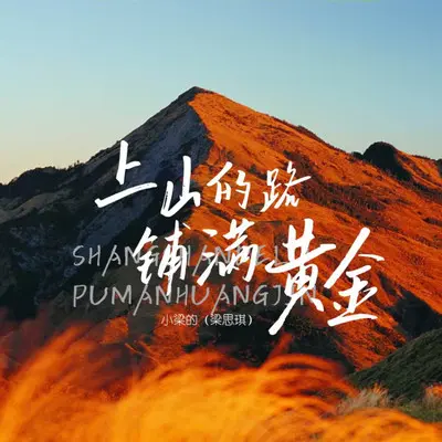 上山的路铺满黄金（DJ Eva版）封面