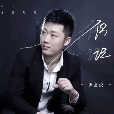 你说（DJ潇海版）封面