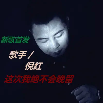 这次我绝不会挽留（DJ阿能版）封面