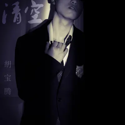 你是我触碰不到的风封面
