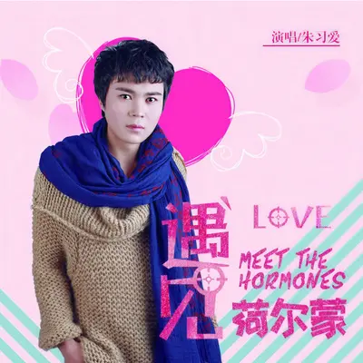 遇见荷尔蒙(电影《遇见》主题曲）封面