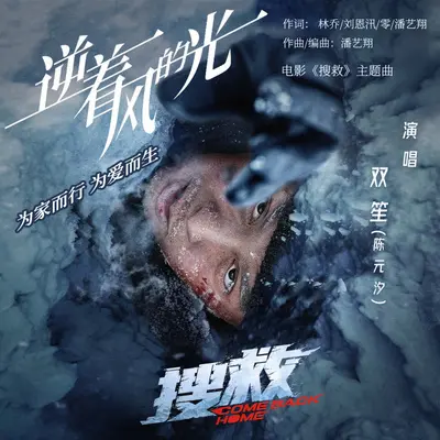 逆着风的光封面