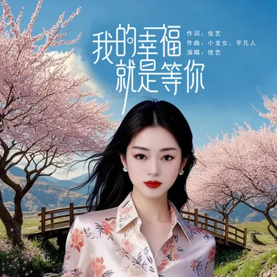 我的幸福就是等你封面