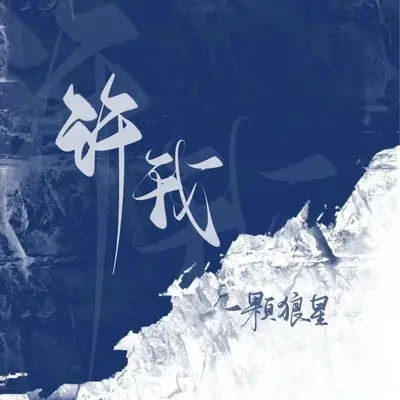 许我 - 一颗狼星封面