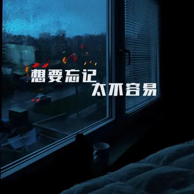 想要忘记太不容易（DJ先森版）封面