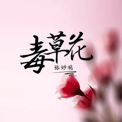 毒草花 DJ版封面