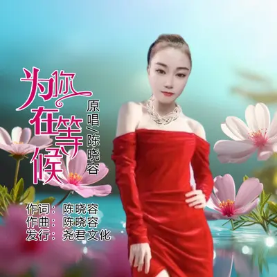 为你在等候封面