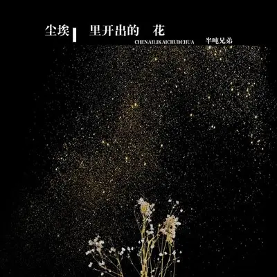 尘埃里开出的花封面