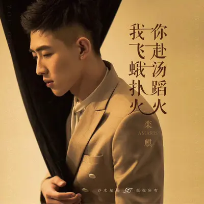 我飞蛾扑火，你赴汤蹈火封面