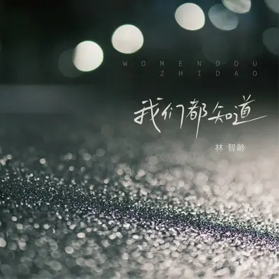 我们都知道（伴奏）封面