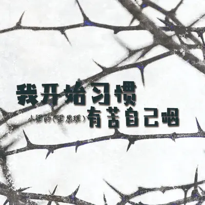 我开始习惯有苦自己咽（DJ Eva版）封面