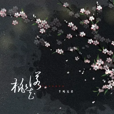 桃花诺 (DJ豪大大版)封面