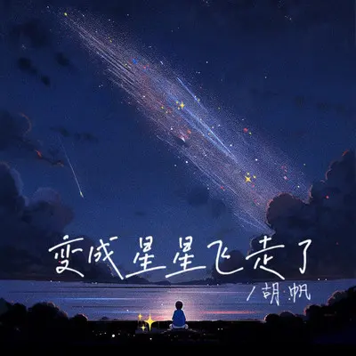 变成星星飞走了（伴奏）封面