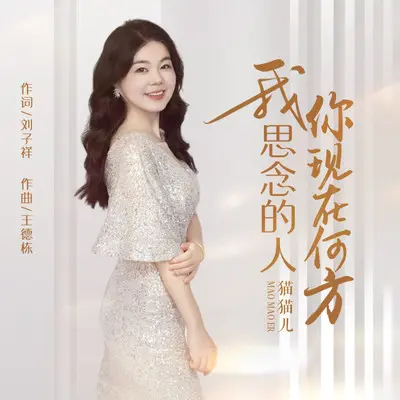我思念的人你现在何方封面