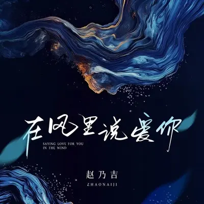 在风里说爱你封面