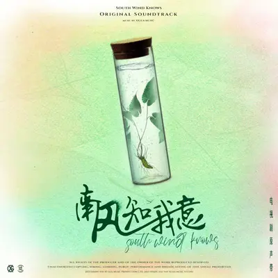 遥远的相似（伴奏）封面