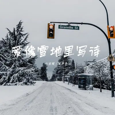 爱像雪地里写诗(DJ Eva版)封面