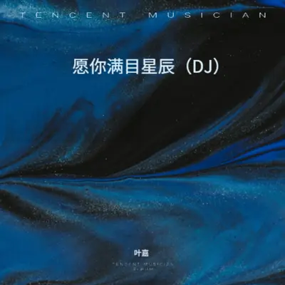愿你满目星辰（DJ版）封面