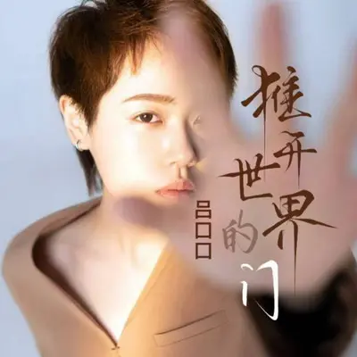 推开世界的门 (remix说唱版)封面