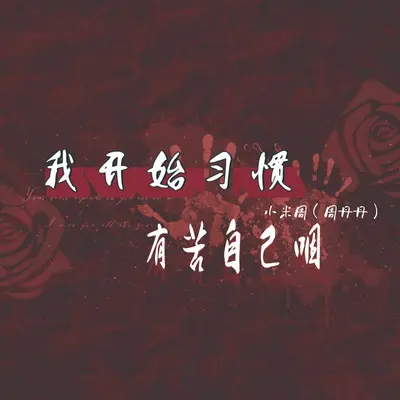 我开始习惯有苦自己咽（DJ Eva版）封面