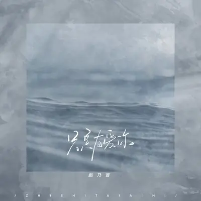 只是太爱你 (伴奏) - 赵乃吉封面