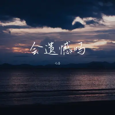 会遗憾吗（DJ Eva版）封面