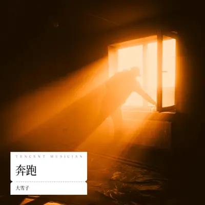 向往封面