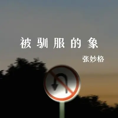 被驯服的象封面
