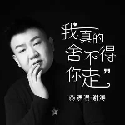 我真的舍不得你走（DJ默涵版）封面