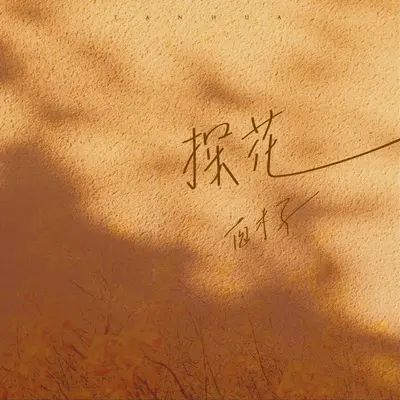 探花（伴奏）封面