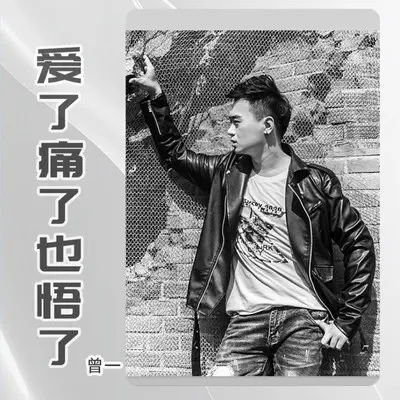 爱了痛了也悟了封面
