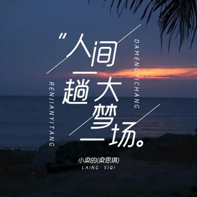 人间一趟大梦一场（DJ版）封面