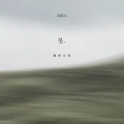 夏天的风（氛围版0.95x） - 坠. / DJ小暴封面