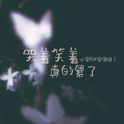 哭着笑着真的累了（DJ Eva版）封面
