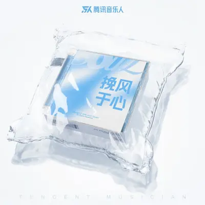 晚风吹人醒 万事藏于心封面
