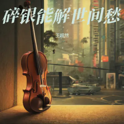 碎银能解世间愁-DJ小刚版封面