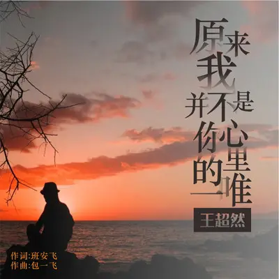 原来我并不是你心里的唯一封面