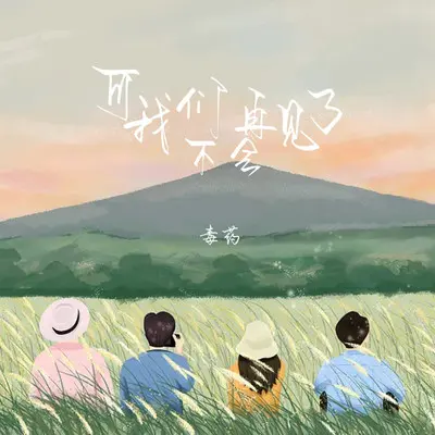 可我们不会再见了 (伴奏)封面