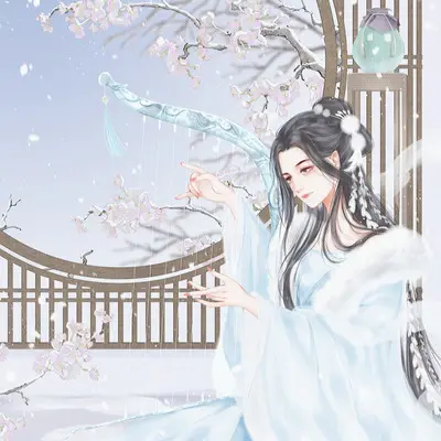 风花雪月(海南DJ茂版)封面