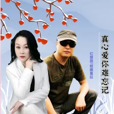 真心爱你难忘记（对唱版）封面
