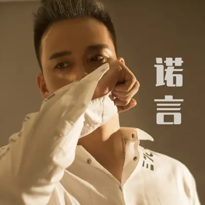 诺言（DJ默涵版）封面