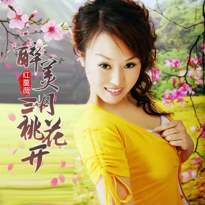 醉美三月桃花开（DJ彭锐版）（伴奏）封面