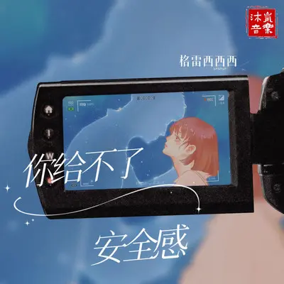 你给不了安全感（DJ小蒋版） - 格雷西西西封面