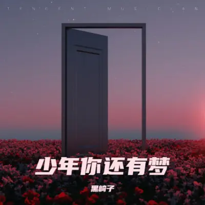 少年你还有梦封面